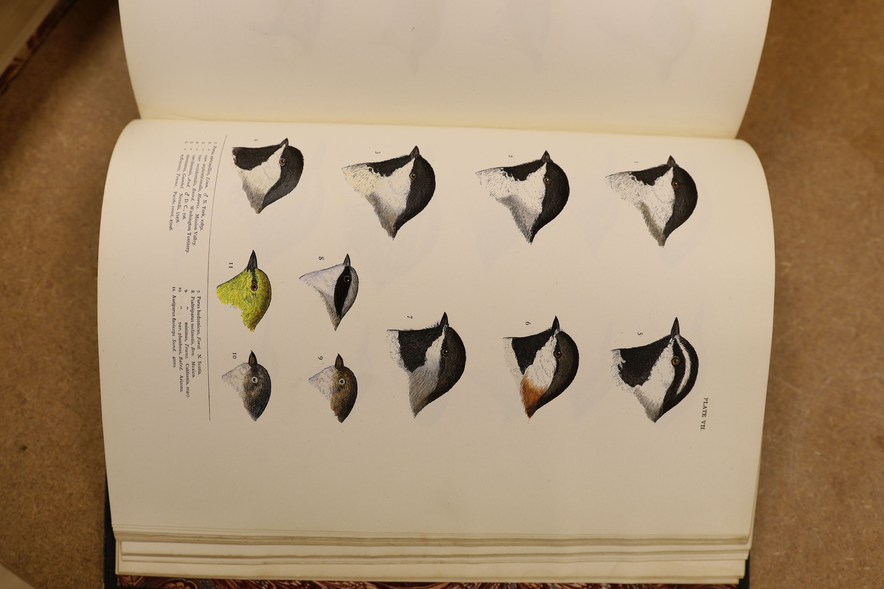Baird, S.F. & Others - A History of North America Birds: Land Birds, 3 vols., coloured plates and other illus.; old half leather and marbled boards, gilt tops and marbled e/ps., 4to.